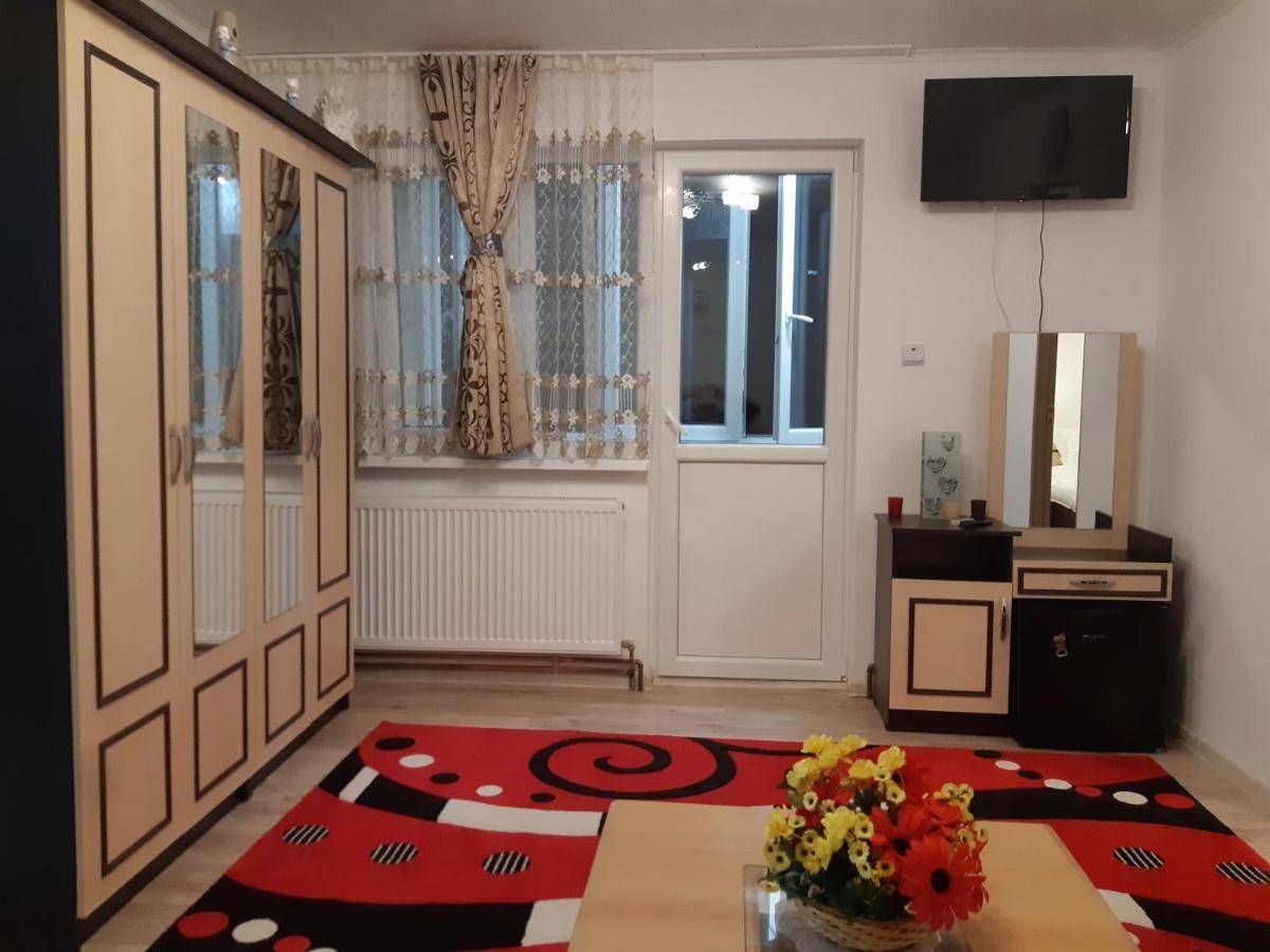 Florin Apartament Sighişoara Exterior foto