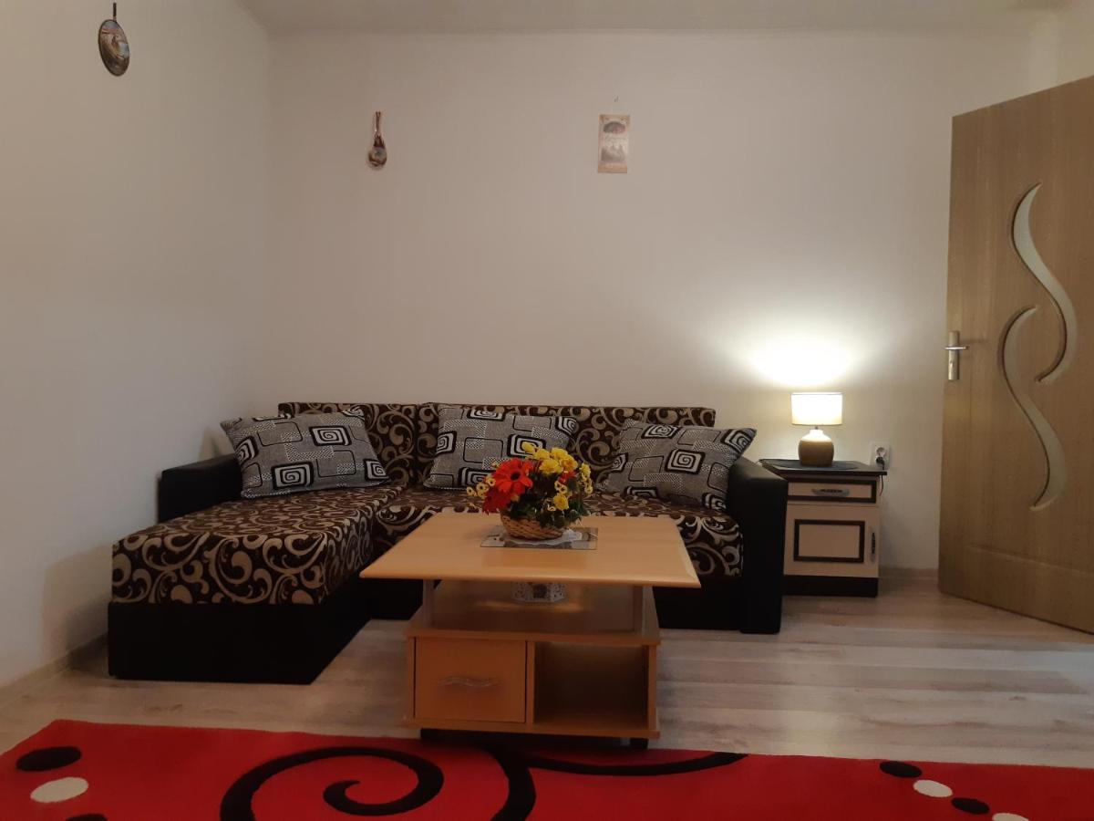 Florin Apartament Sighişoara Exterior foto
