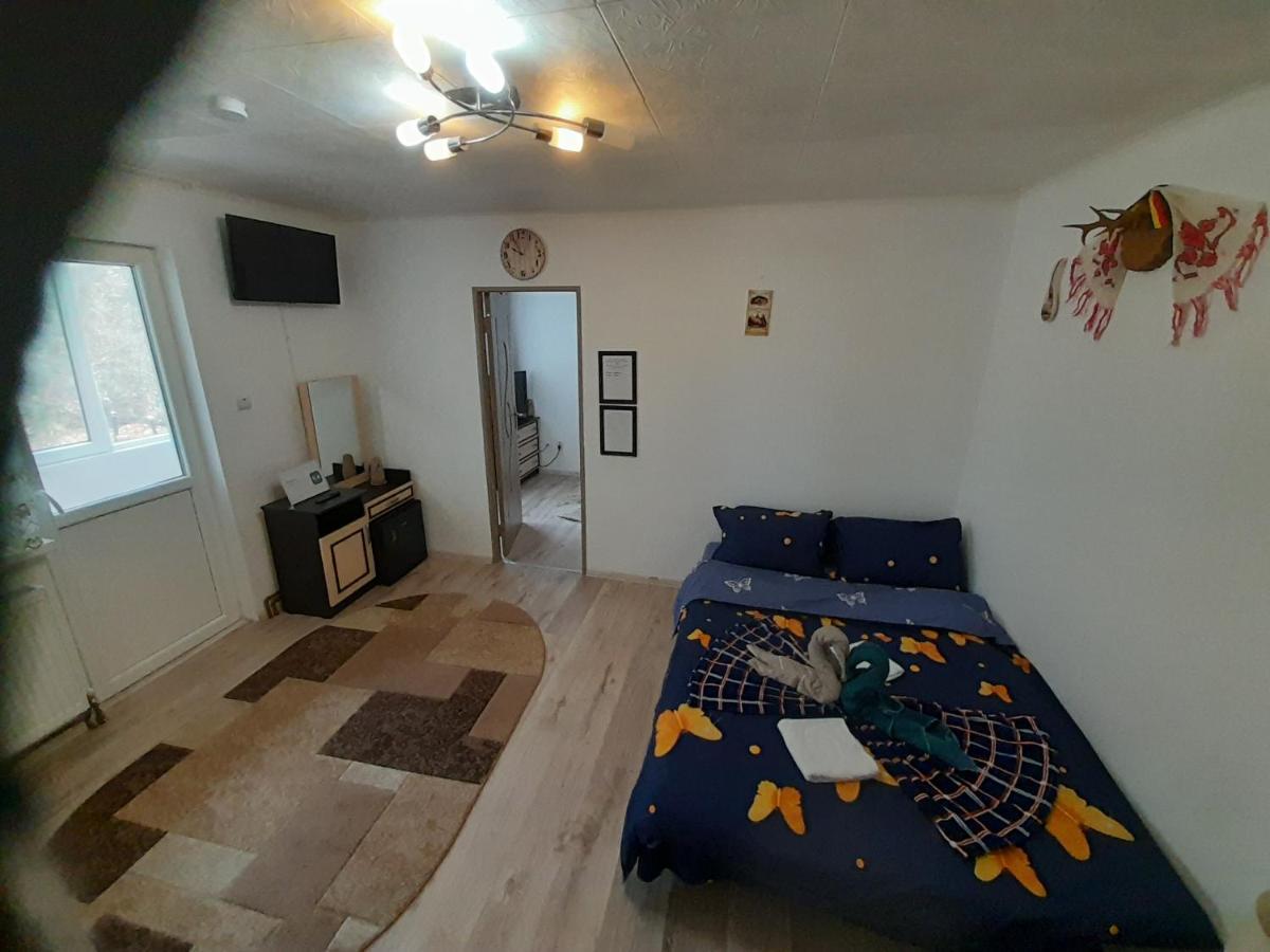 Florin Apartament Sighişoara Exterior foto